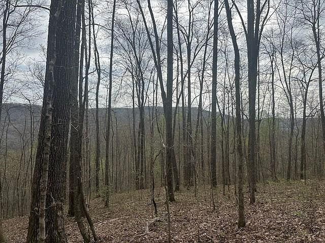 1st image of LOT 84 Buckeye Ln