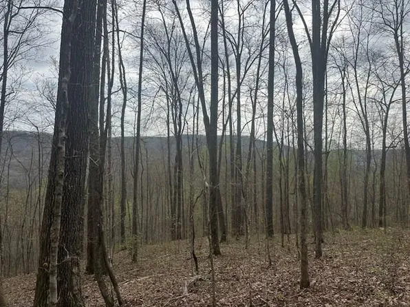 LOT 84 Buckeye Ln, Wilder, TN 38589