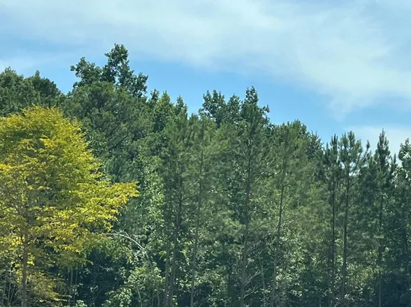 Manoy Dr, Jacksons Gap, AL 36861