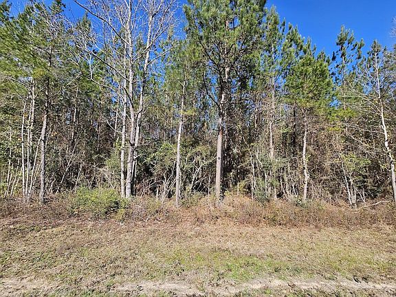 5th image of 0 C B Whitehead Rd