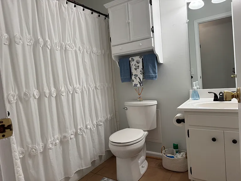 Main bath with tub/shower combo.