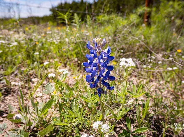 12505 County Road 1131, Godley, TX 76044