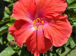 (Undisclosed Address), Quinton, VA 23141