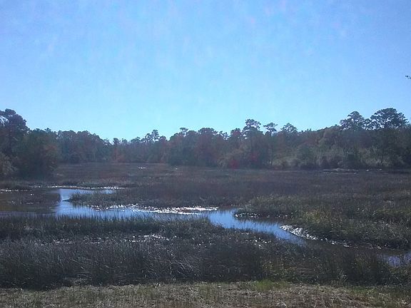 View to the back of the lot