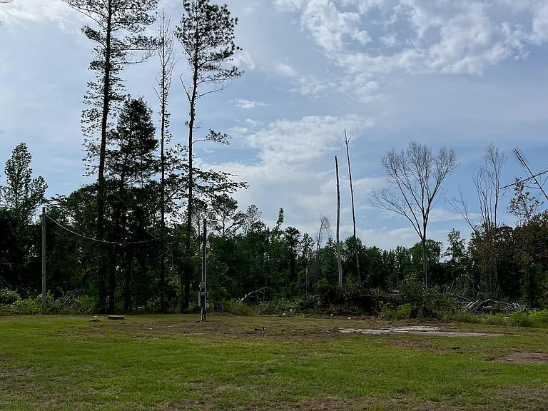 1519 Butter And Egg Rd — Photo 3