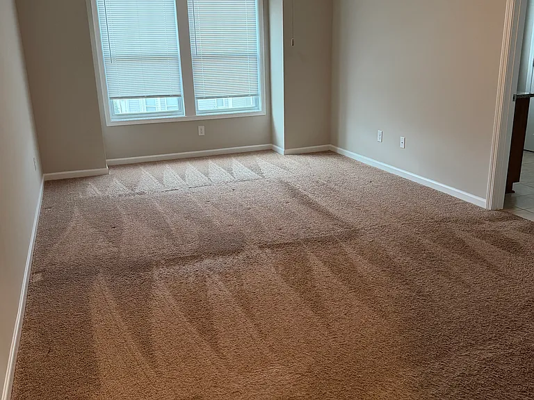 309 Yellow Fox Rd — Photo 10