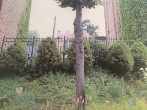 6321 S Ingleside Ave, Chicago, IL 60637