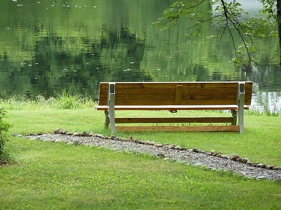 Bench by the pond