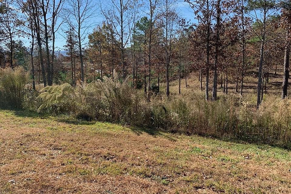 LOT 52 Northshore, Blairsville, GA 30512 Zillow