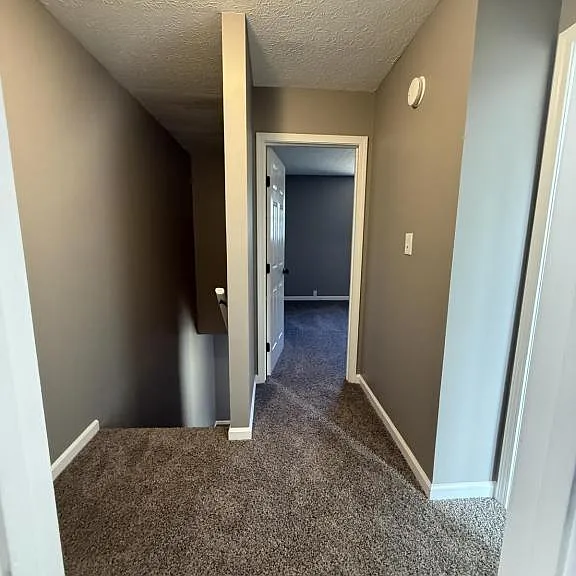1240 Clear Ridge Ln — Photo 9