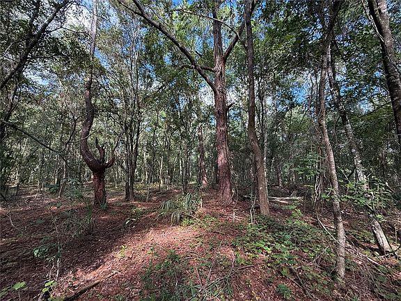 2nd image of 1166 HONEYTREE STREET LOT 25