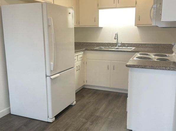 536 Adams St APT 1, Albany, CA 94706