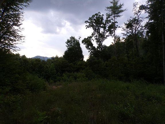 4th image of Robinson Hollow Ln