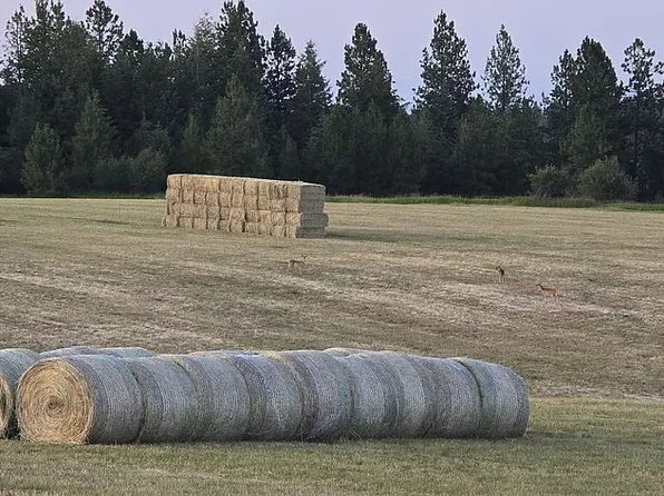 0 Benedict Rd, Winchester, ID 83555