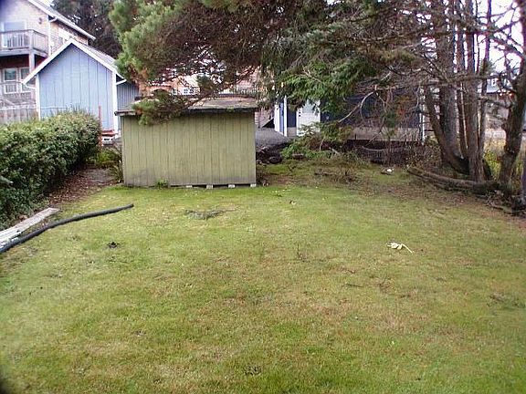 Back yard
