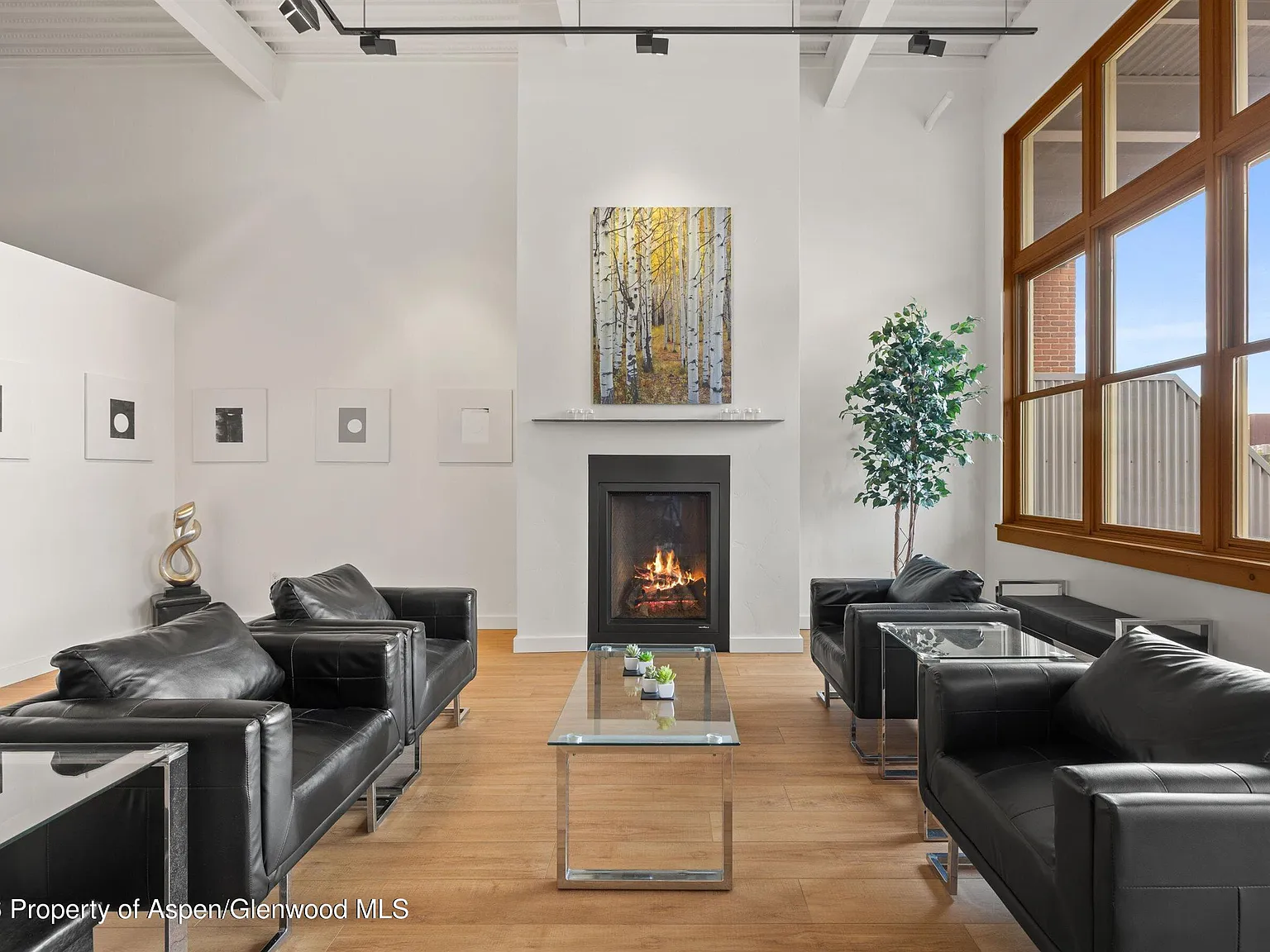 2 bed, 1079 sqft, $4,900 — Photo 3
