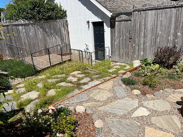 Dog Area_08032026