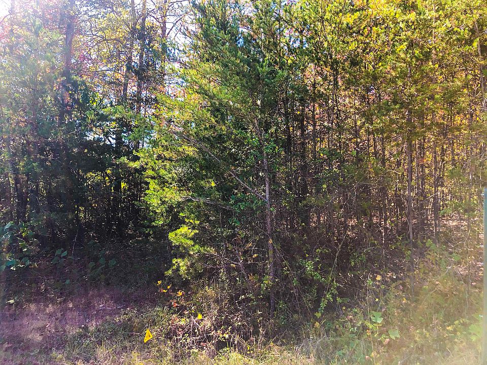 2nd image of 74 Maple Branch Rd