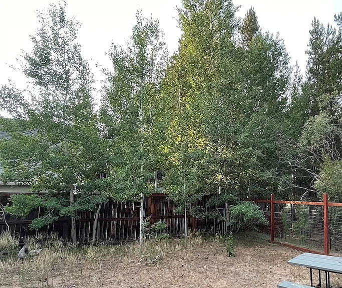 1413 Friant Dr — Photo 31