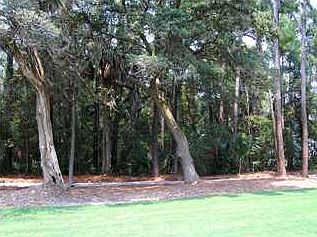 2nd image of 3280 Privateer Creek Rd
