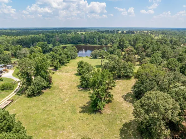6007 Fm 227 W, Grapeland, TX 75844