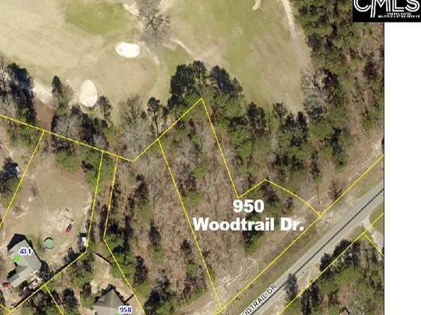 950 Woodtrail Dr, Gaston, SC 29053