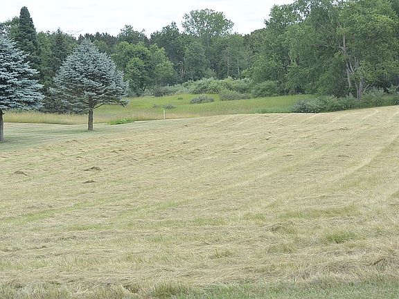 Looking NE from the front