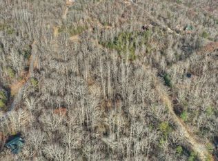 Stuart Mountain Rd, Mineral Bluff, GA 30559