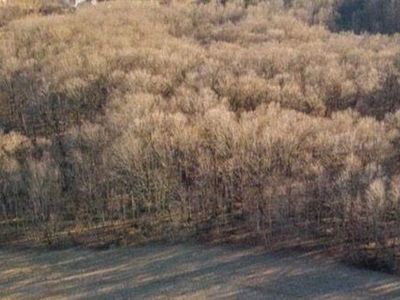 5 Mile Rd, Northville, MI, 48168