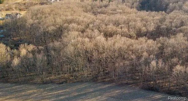 5 Mile Rd photo 1