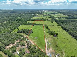 1956 Vz County Road 4511, Ben Wheeler, TX 75754