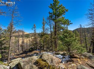 308 Reed Cir, Florissant, CO 80816