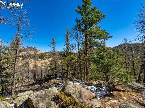 308 Reed Cir, Florissant, CO 80816
