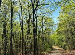 Raven Ridge Trl, Dobson, NC 27017