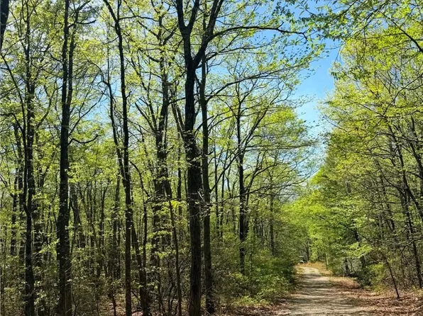 TBD Raven Ridge Trail, Dobson, NC 27017