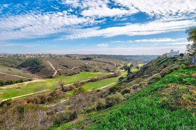 View from back yard.