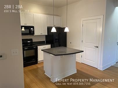 4th image of 650 S Mill St APT 213