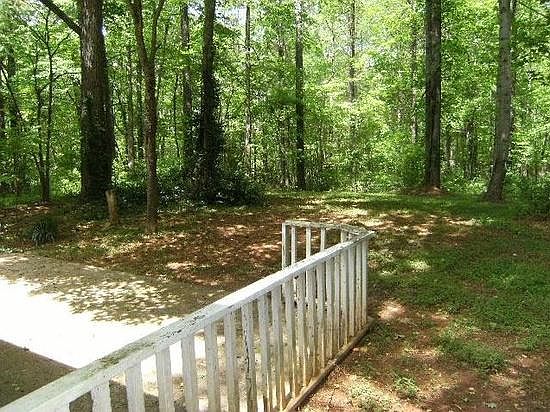 Wooded Back Yard
