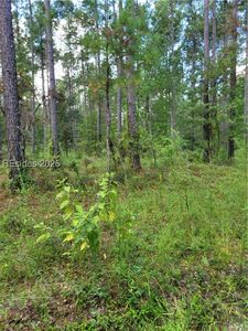 Tina Manker Rd, Ridgeland, SC, 29936