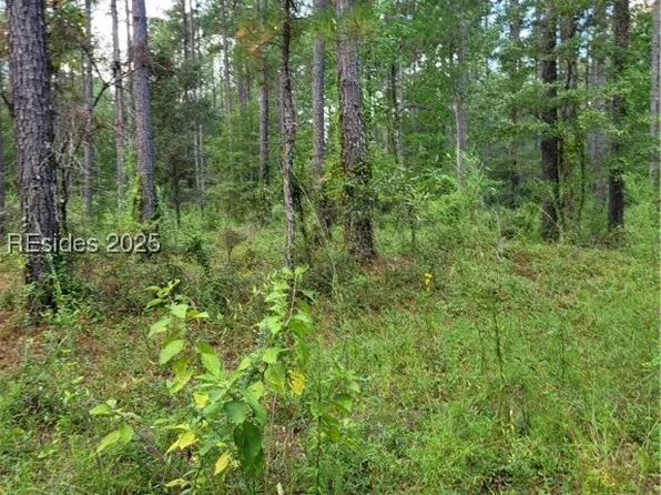 Tina Manker Rd, Ridgeland, SC 29936