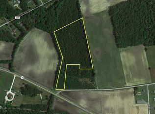 Reynolds Pond Rd, Ellendale, DE 19941