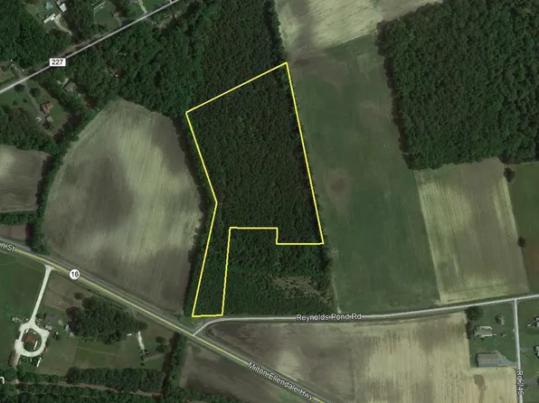 Reynolds Pond Rd, Ellendale, DE 19941