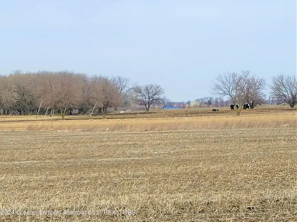 9135 E Kinley Rd, Ovid, MI 48866