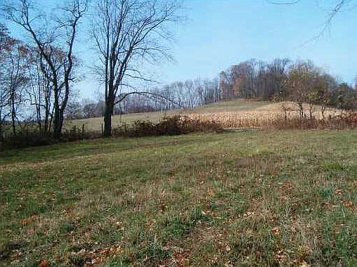 5th image of Weddell Dr