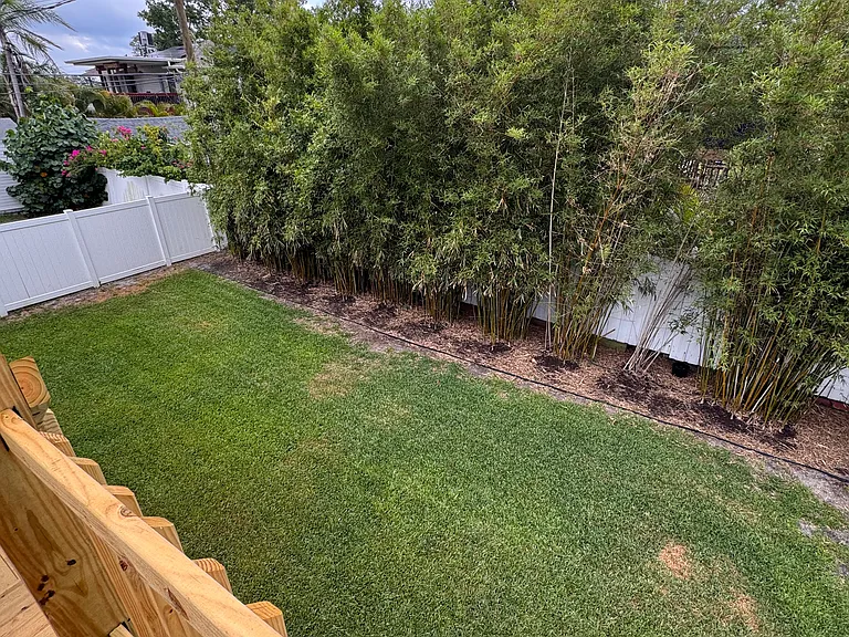 Backyard with bamboo privacy