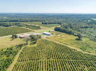 1876 Highway 532, Mount Olive, MS 39119