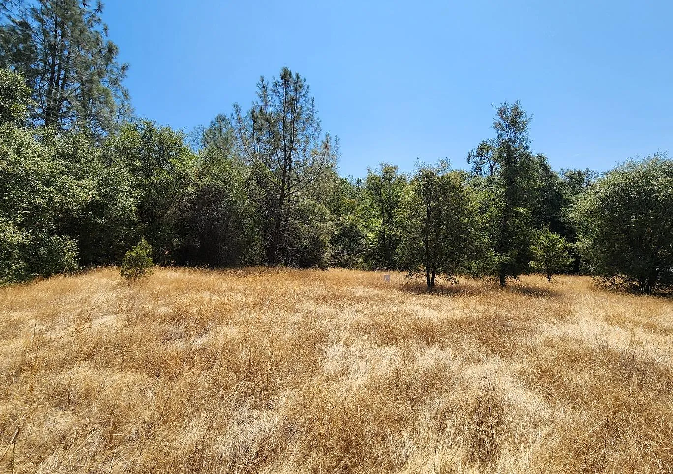 10065 Melody Rd photo 1