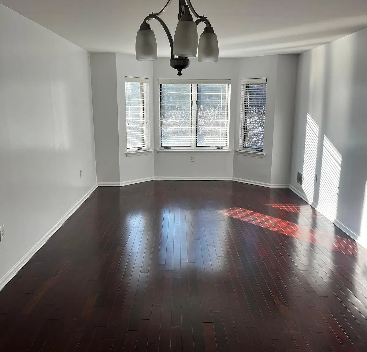 1 bed, 800 sqft, $2,590 — Photo 3
