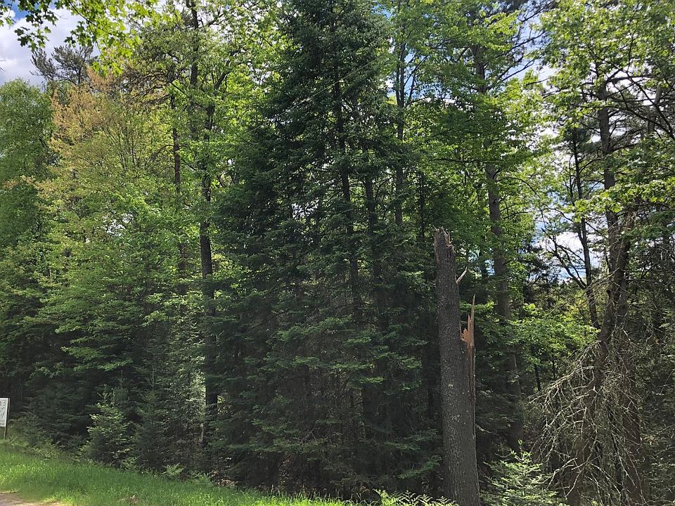 2nd image of LOT 9 Old Highway 70 Rd