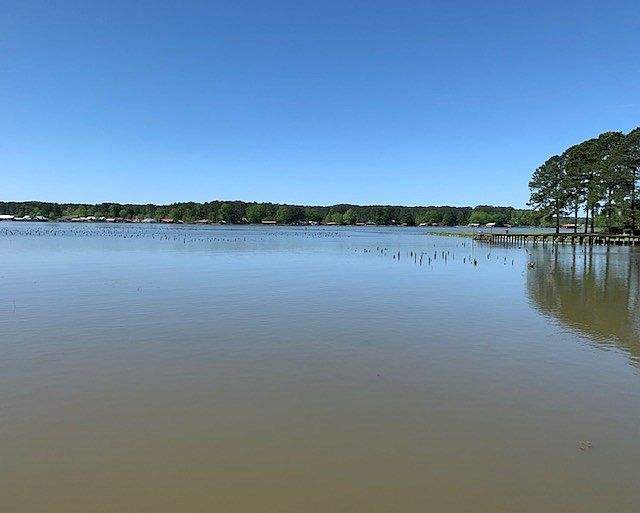 1420 Lake Eddins 1638, Pachuta, MS 39347 Zillow